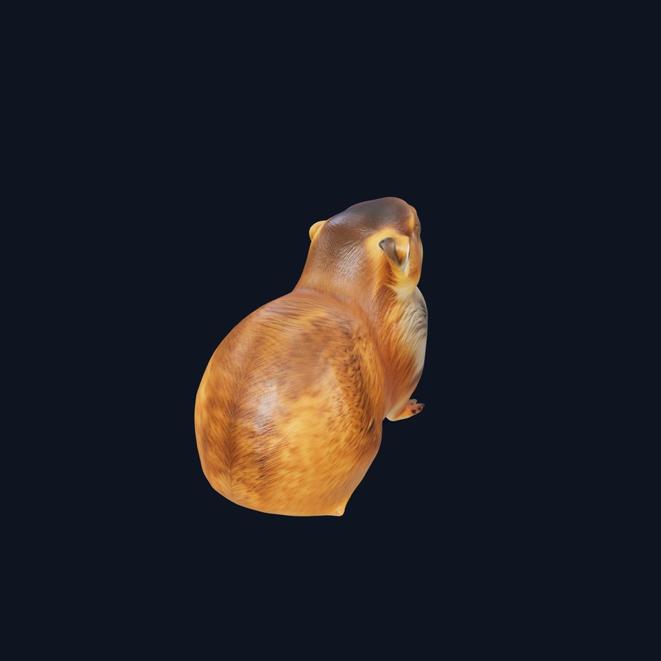 Prairie Dog D Model Pack